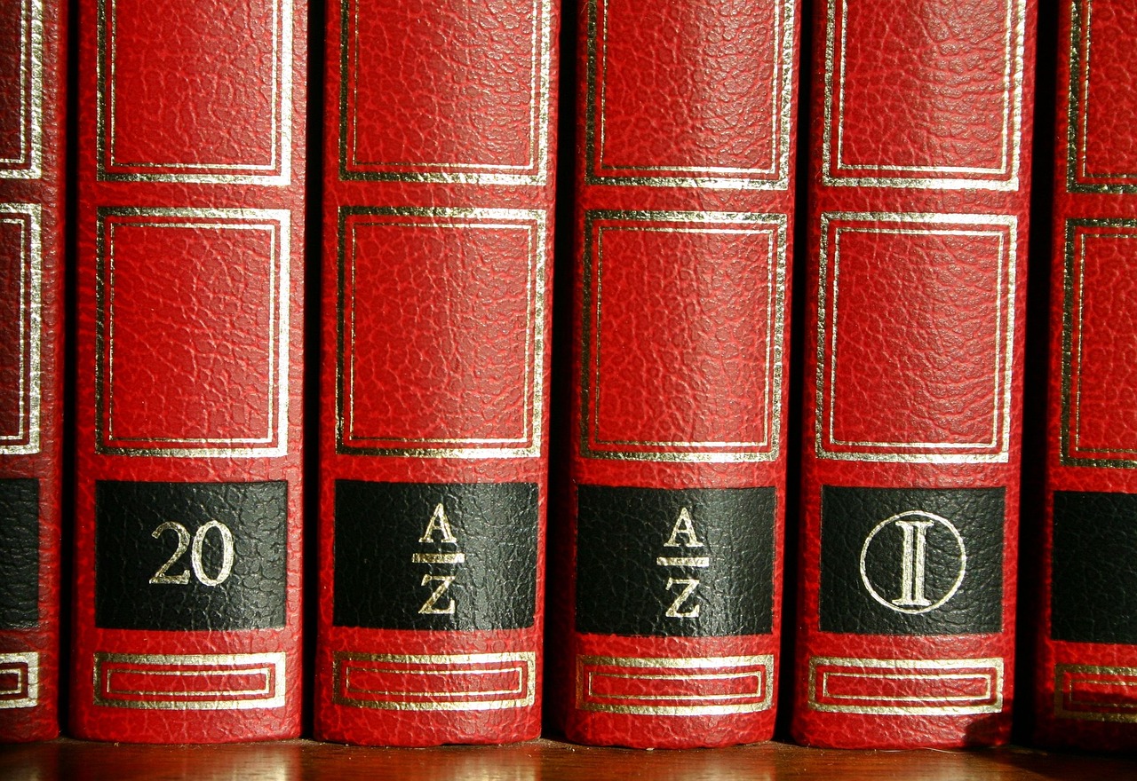 新奥2025资料大全最新版本,全面释义、专家解析解释与落实与警惕虚假宣传
